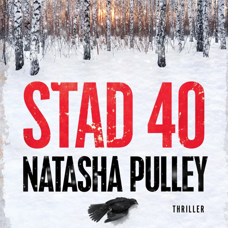 Stad 40 von De Fontein – Buchfoto