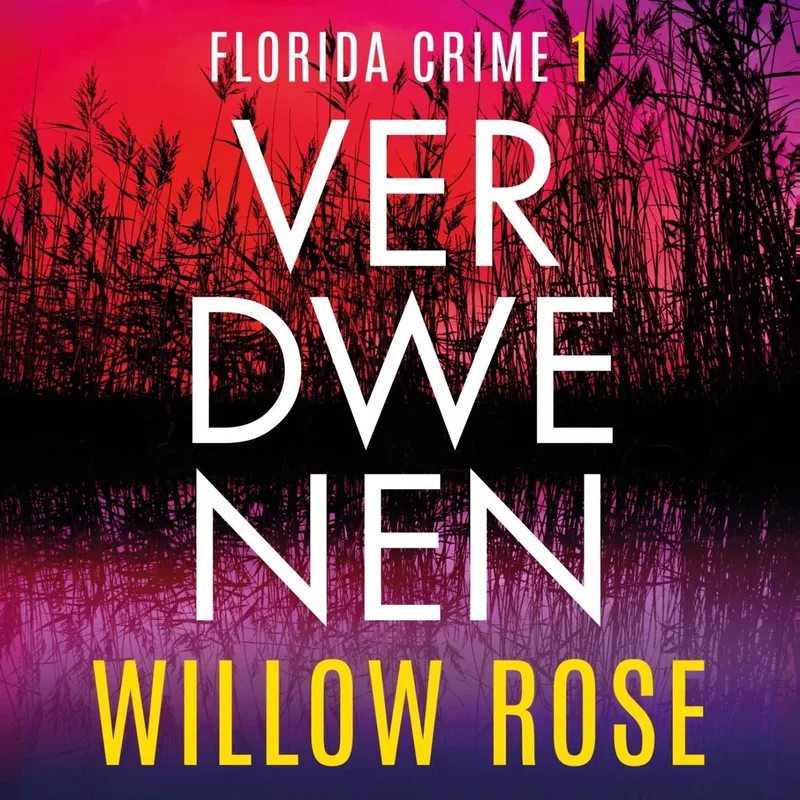 Verdwenen von De Fontein – Buchfoto