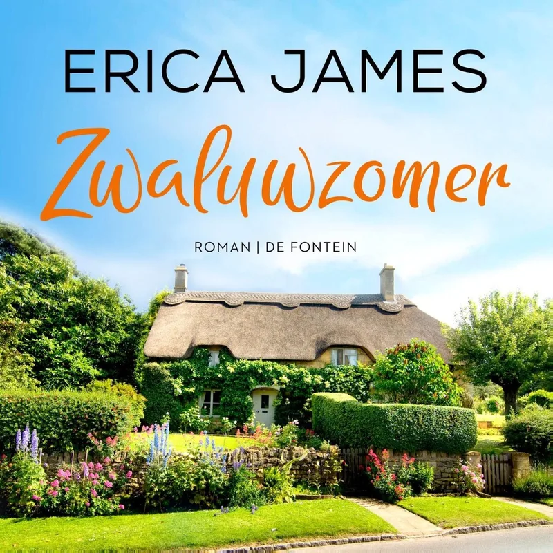 Zwaluwzomer von De Fontein – Buchfoto