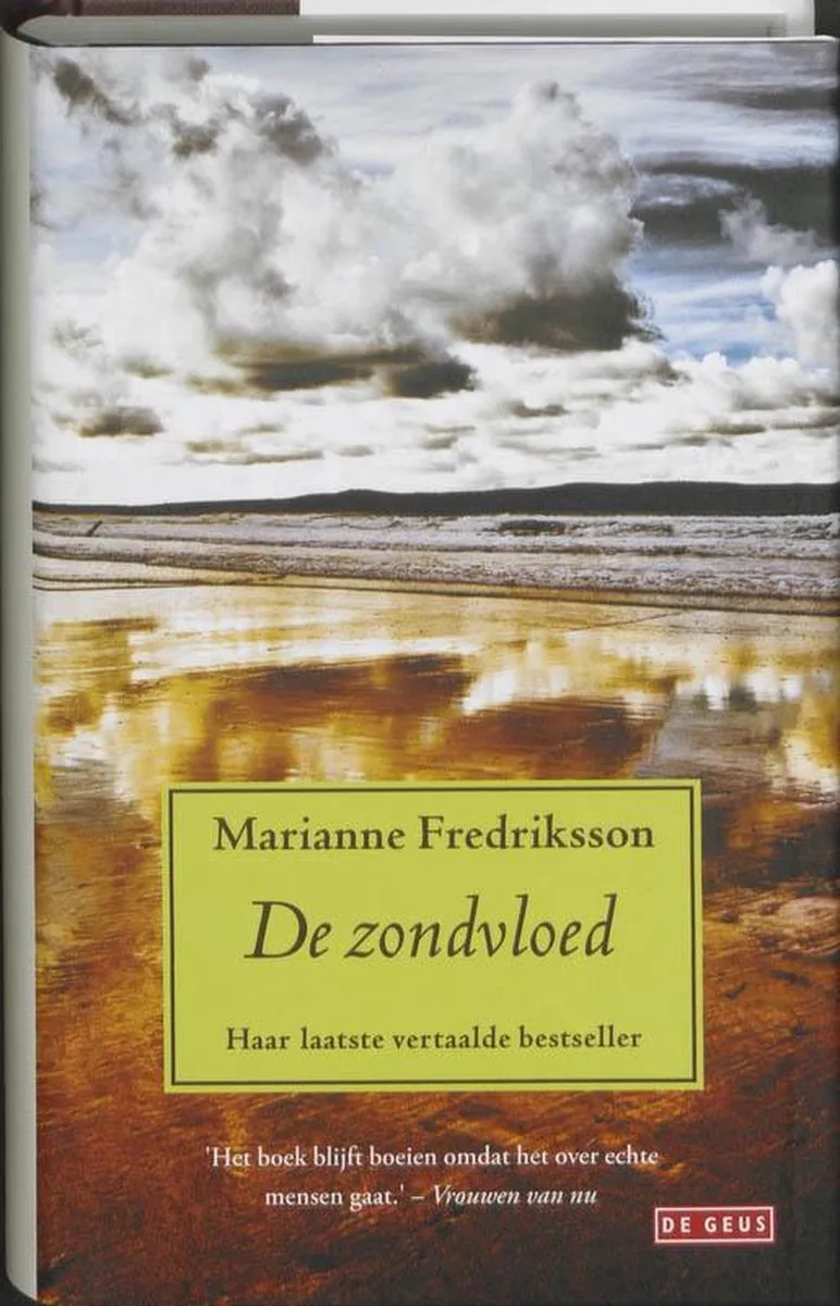 De zondvloed fra De Geus – billede af bogen