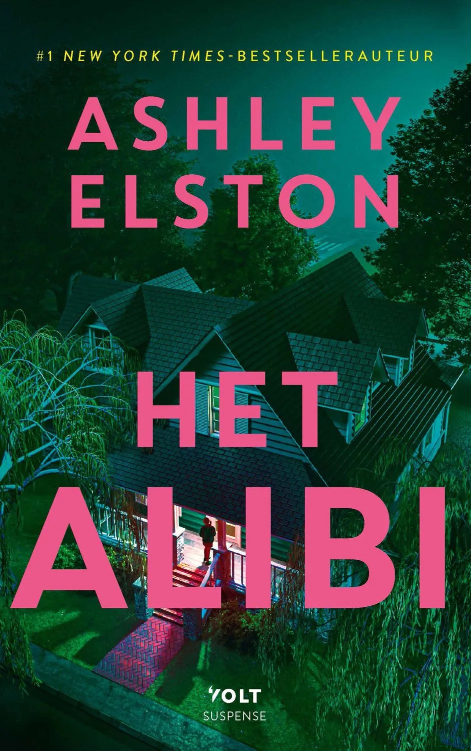 Het alibi van De Geus – boekfoto