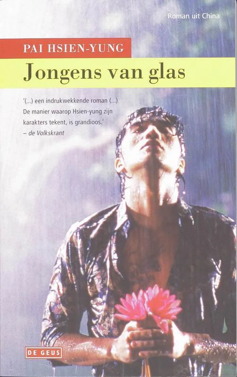 Jongens van glas von De Geus – Buchfoto