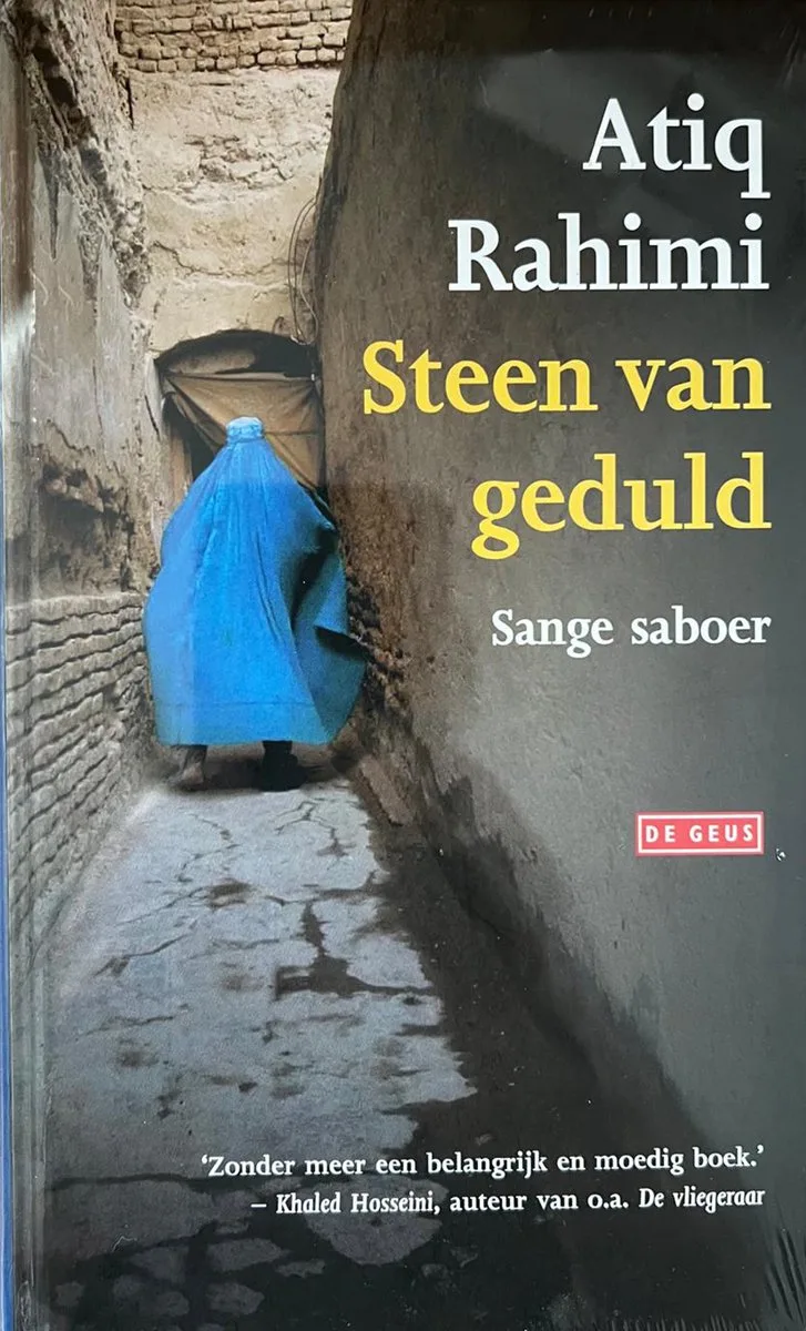 Steen van geduld von De Geus – Buchfoto