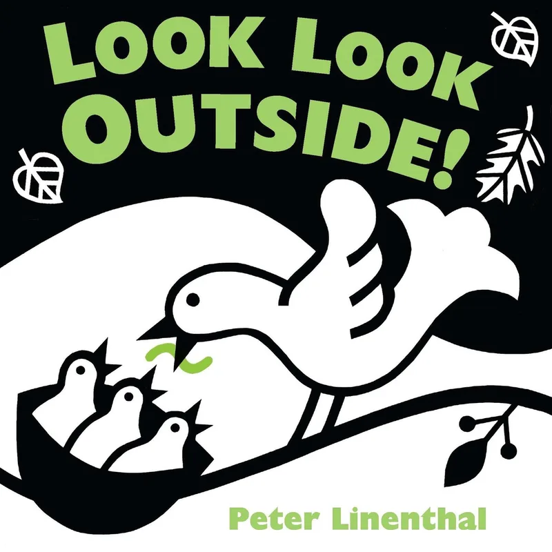 Look Look Outside! von Dial Books – Buchfoto