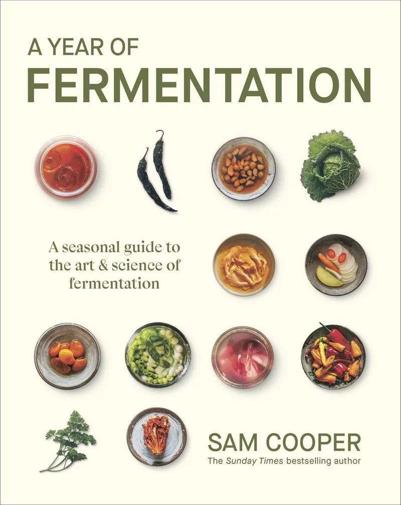 A Year of Fermentation von DK – Buchfoto
