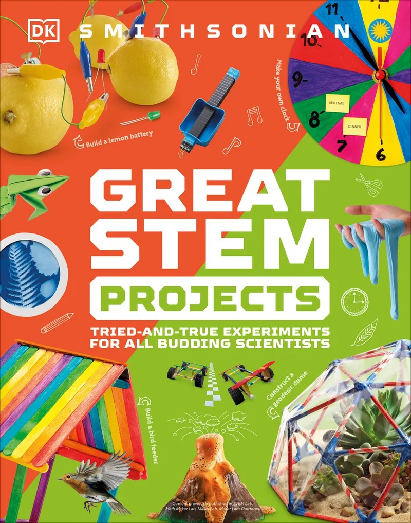Activity Lab- Great STEM Projects by DK – book photo