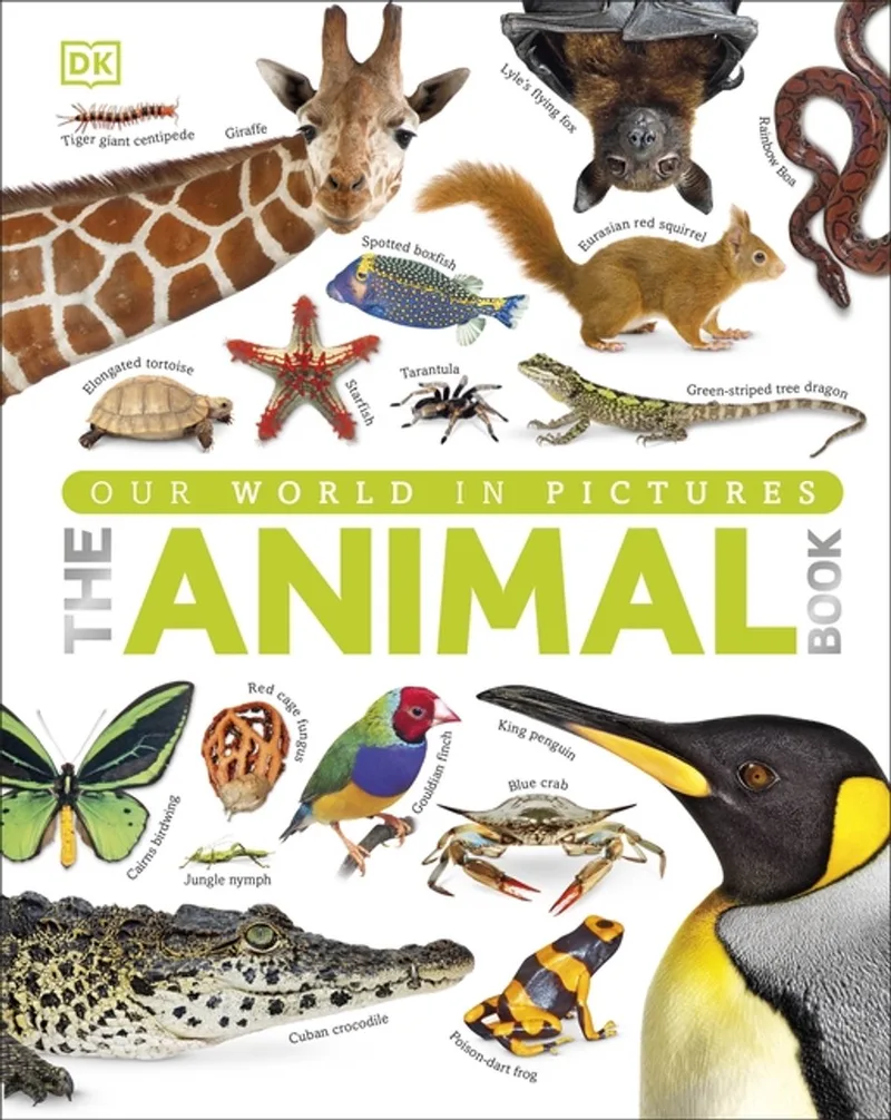 Animal Book von DK – Buchfoto