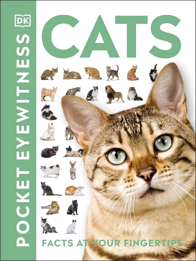 Cats von DK – Buchfoto