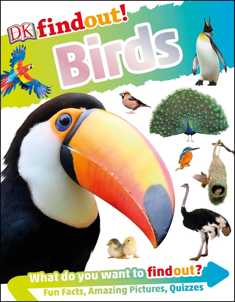 DKfindout Birds von DK – Buchfoto