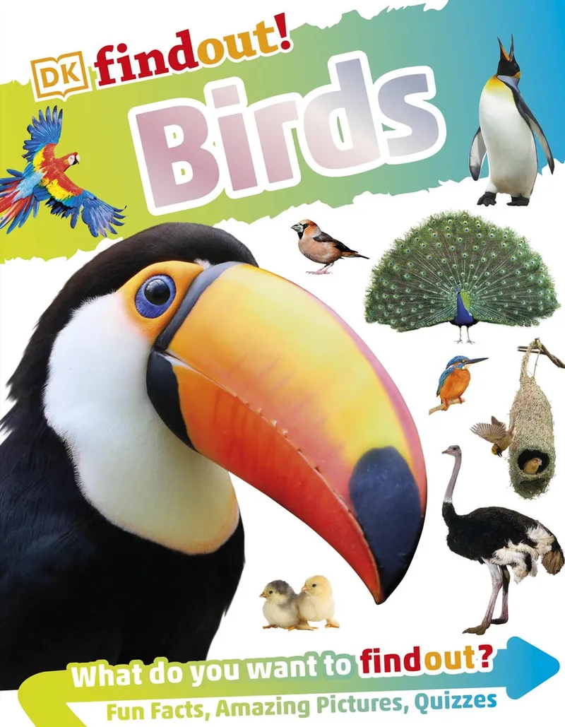 DKfindout! Birds von DK – Buchfoto