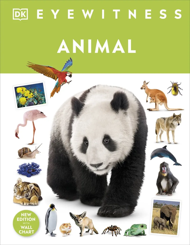 Eyewitness- Animal von DK – Buchfoto