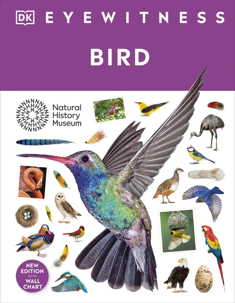 Eyewitness- Bird von DK – Buchfoto