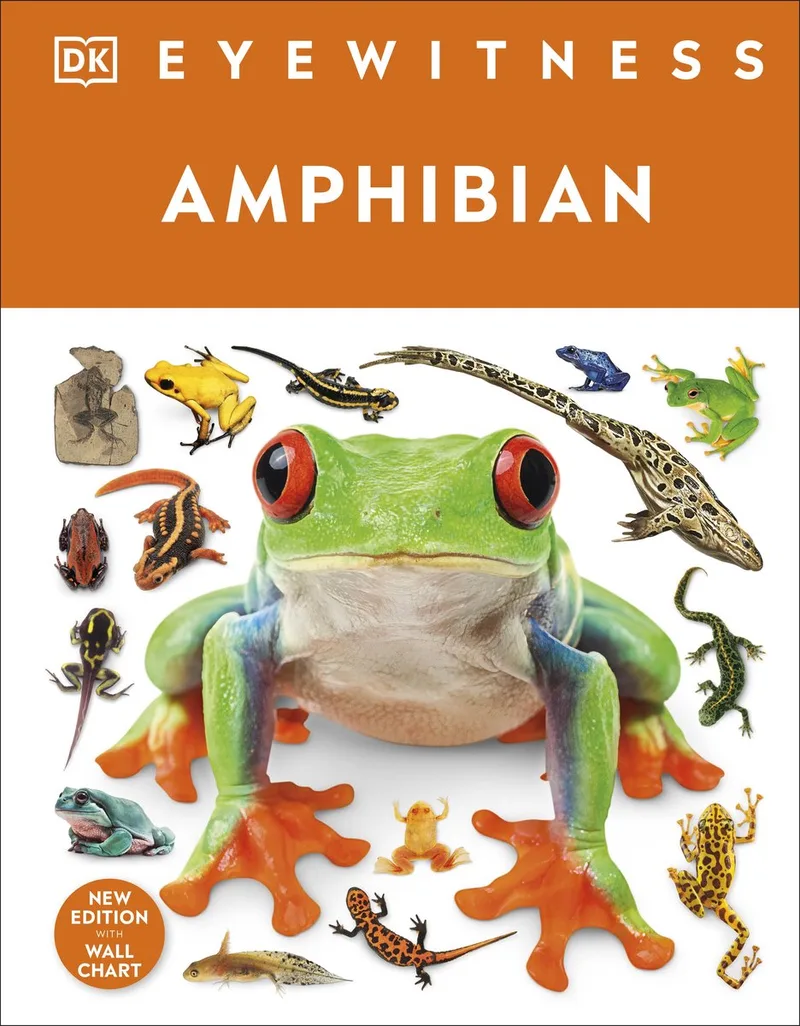 Eyewitness- Eyewitness Amphibian von DK – Buchfoto