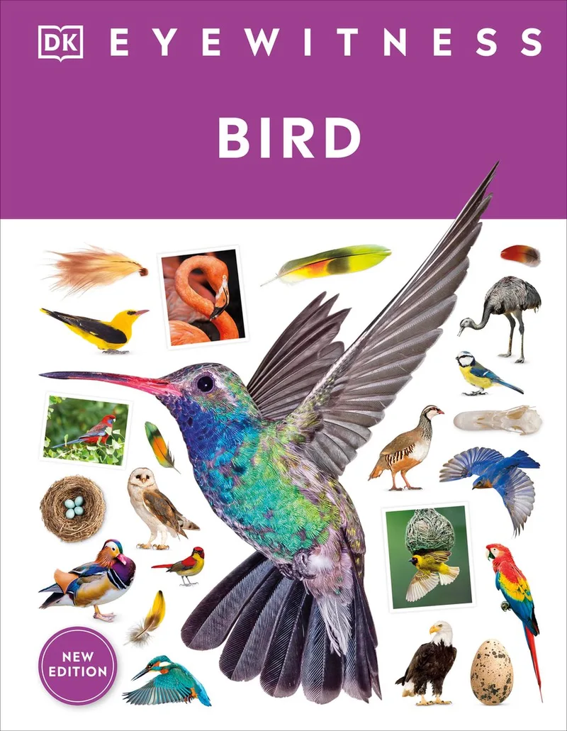 Eyewitness- Eyewitness Bird von DK – Buchfoto