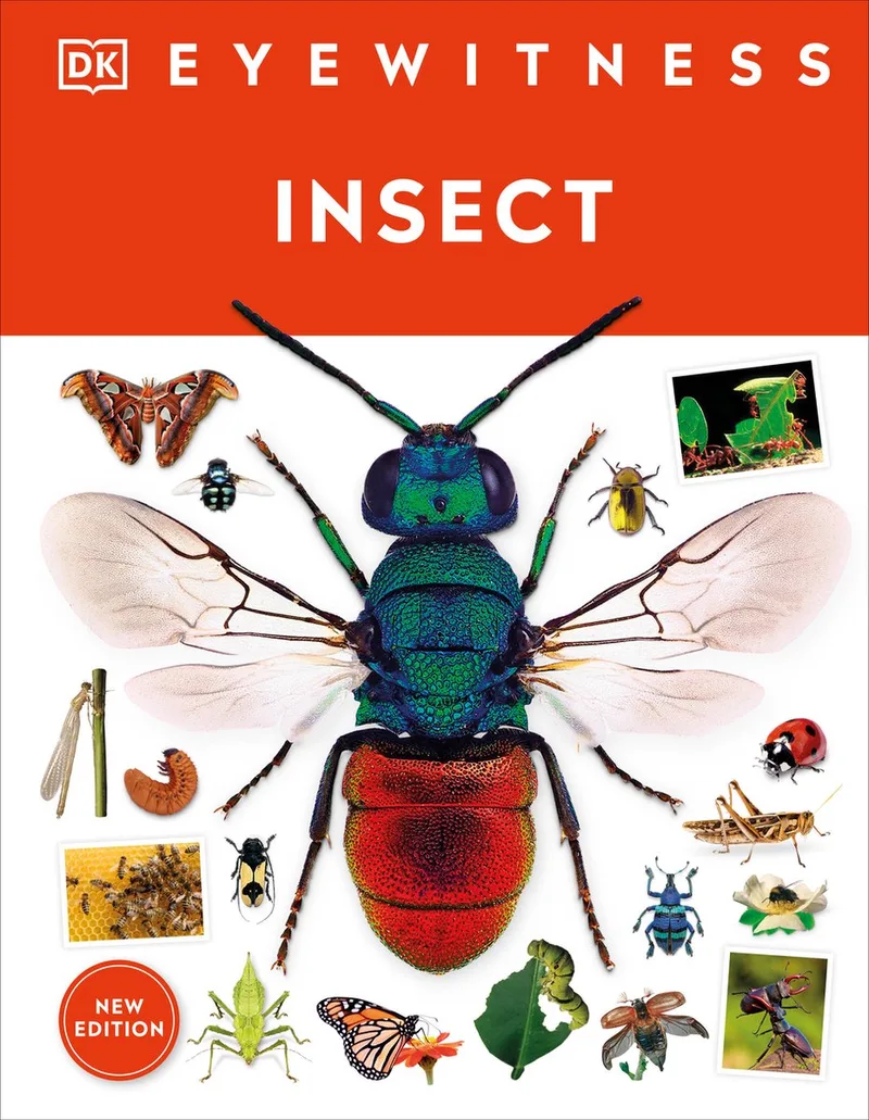 Eyewitness- Eyewitness Insect von DK – Buchfoto