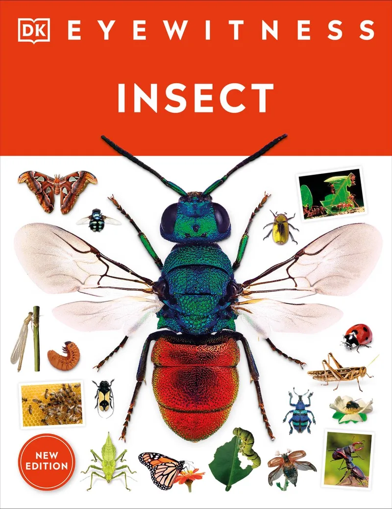 Eyewitness- Eyewitness Insect von DK – Buchfoto