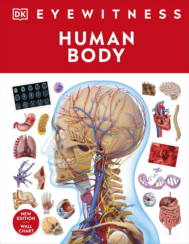 Eyewitness- Human Body von DK – Buchfoto