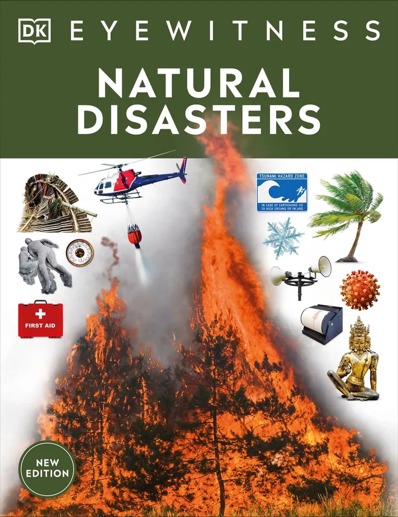 Eyewitness- Natural Disasters von DK – Buchfoto