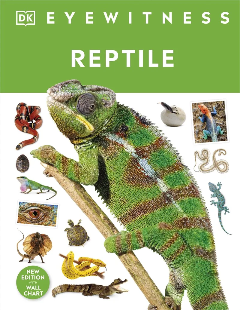 Eyewitness- Reptile von DK – Buchfoto