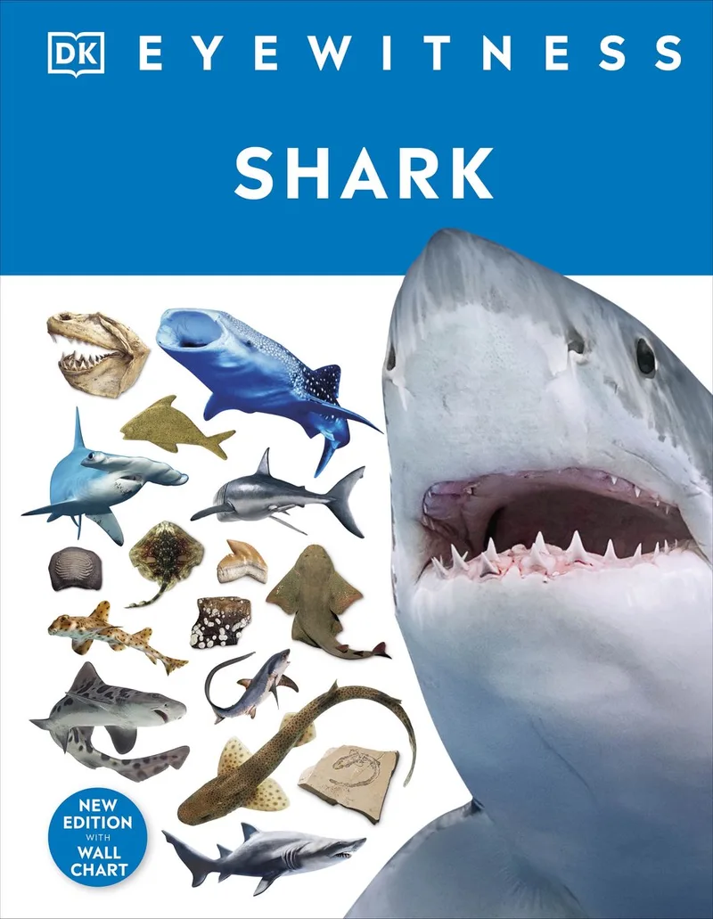 Eyewitness- Shark de DK – photo du livre
