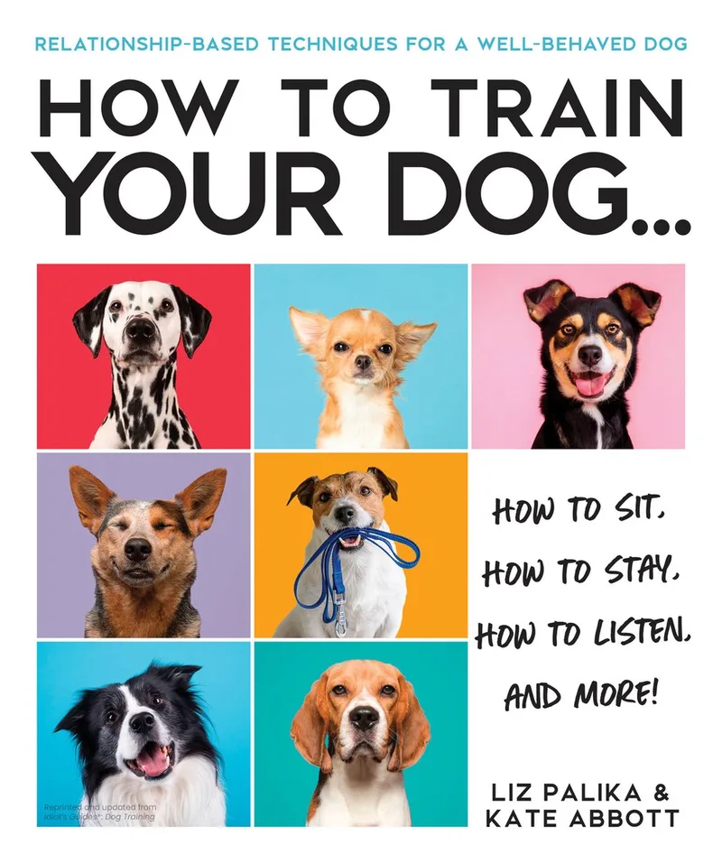 How to Train Your Dog von DK – Buchfoto