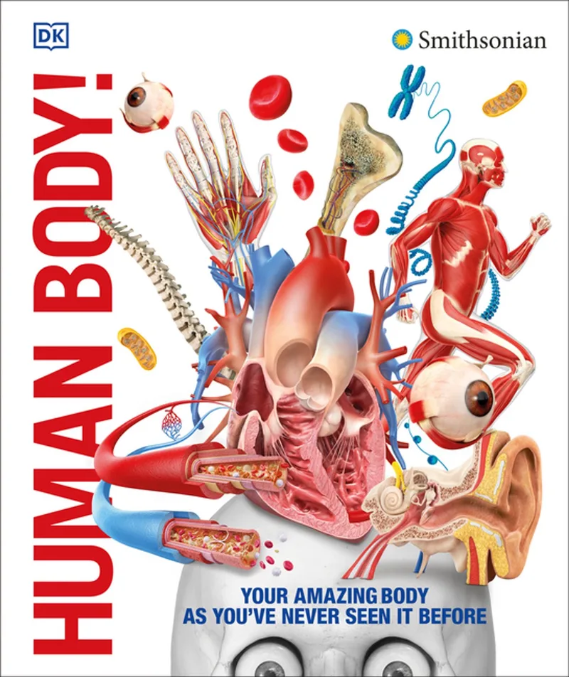 Human Body van DK – boekfoto