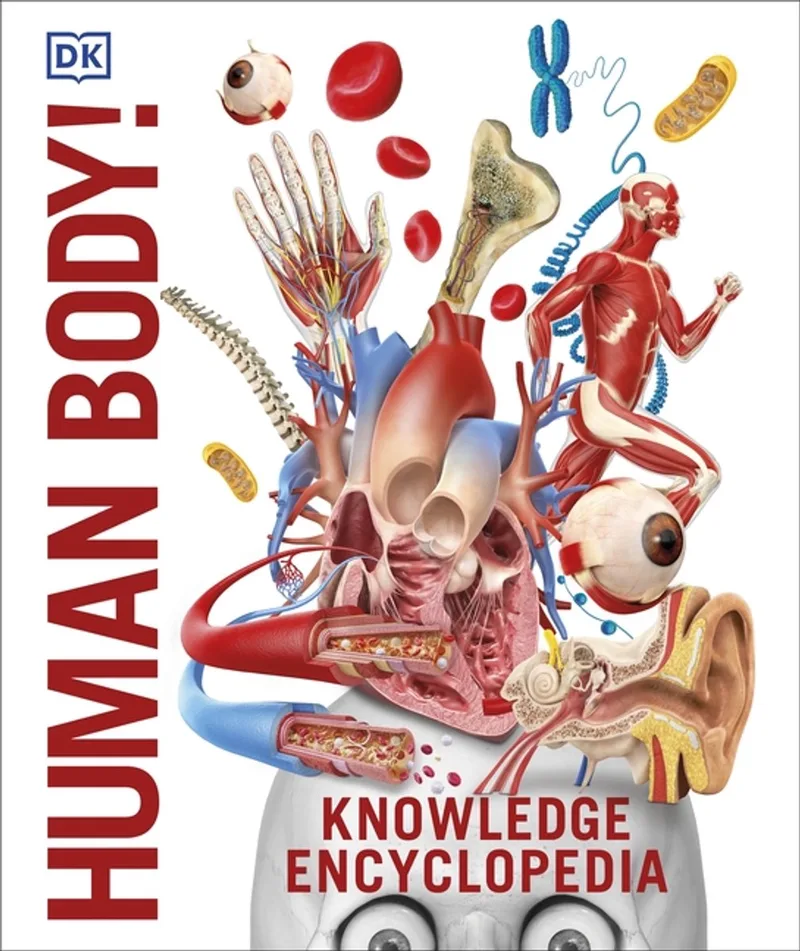 Knowledge Encyclopedia Human Body! de DK – photo du livre