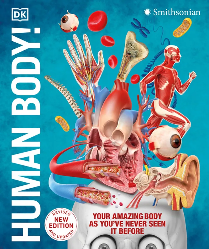 Knowledge Encyclopedia Human Body! de DK – photo du livre