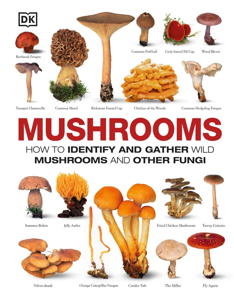Mushrooms de DK – photo du livre
