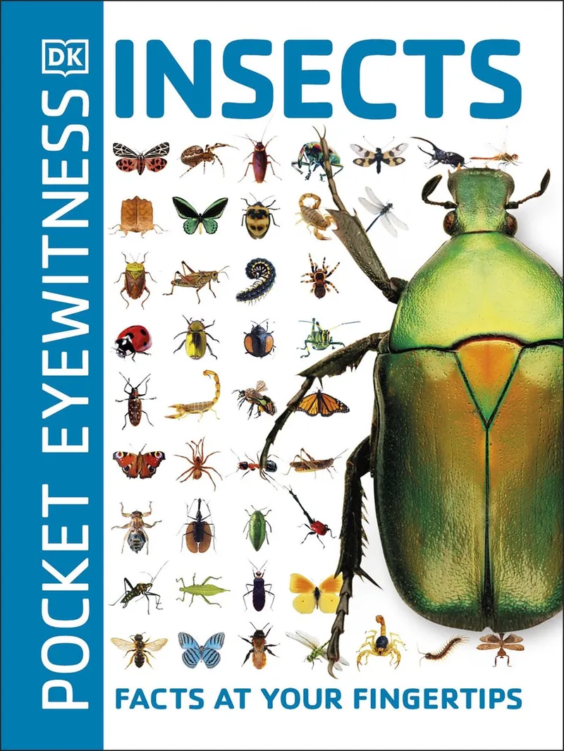 Pocket Eyewitness Insects von DK – Buchfoto