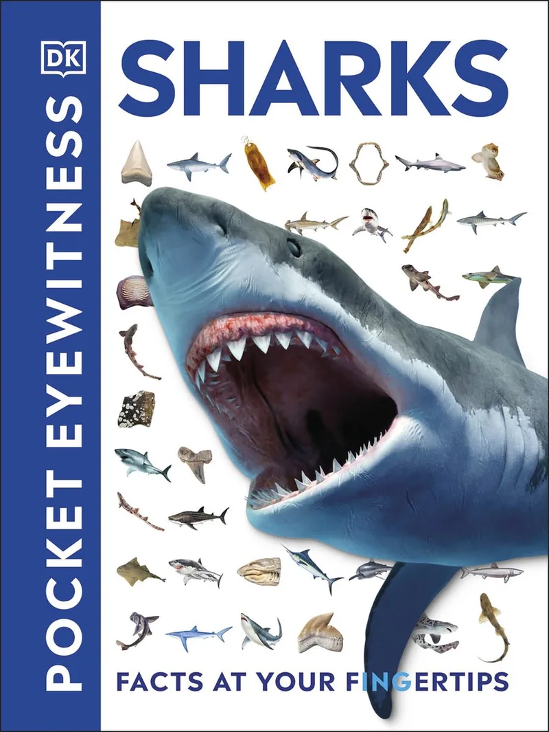 Pocket Eyewitness Sharks von DK – Buchfoto