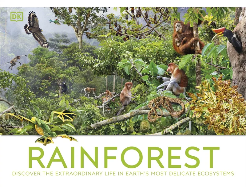 Rainforest von DK – Buchfoto