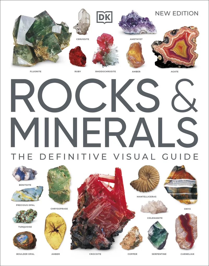 Rocks & Minerals von DK – Buchfoto