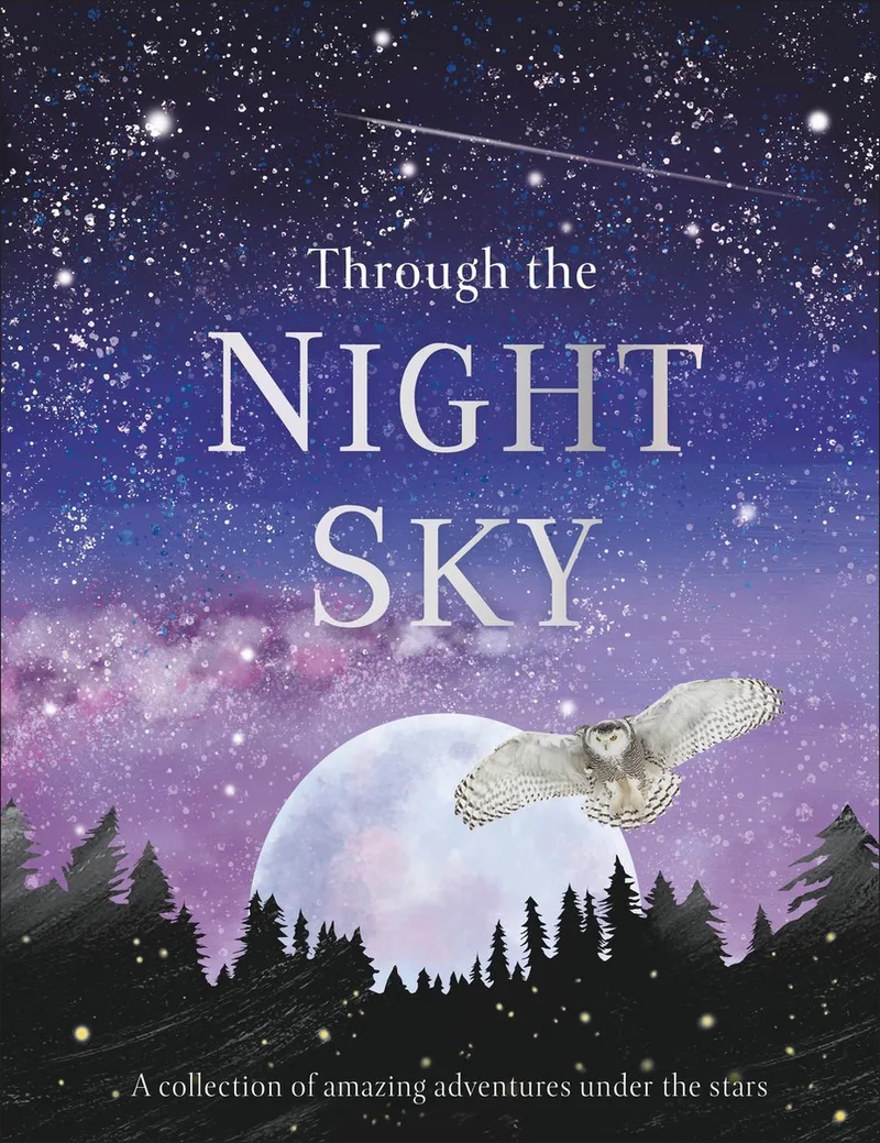 Through the Night Sky von DK – Buchfoto