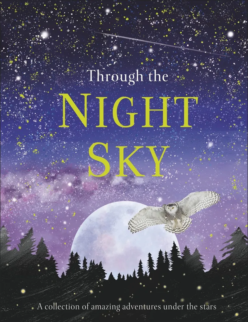 Through the Night Sky fra DK – billede af bogen