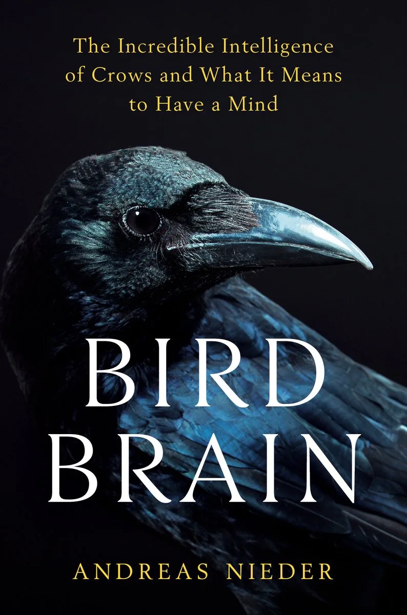 Bird Brain de Doubleday – photo du livre