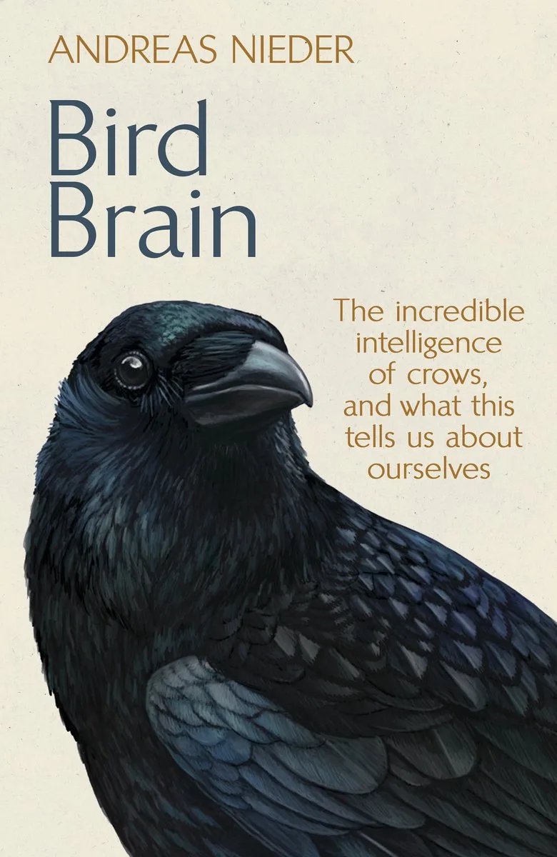 Bird Brain fra Doubleday – billede af bogen