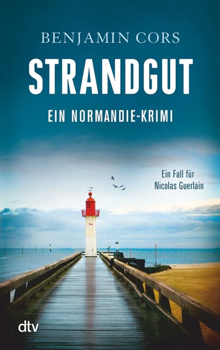 Strandgut fra dtv – billede af bogen