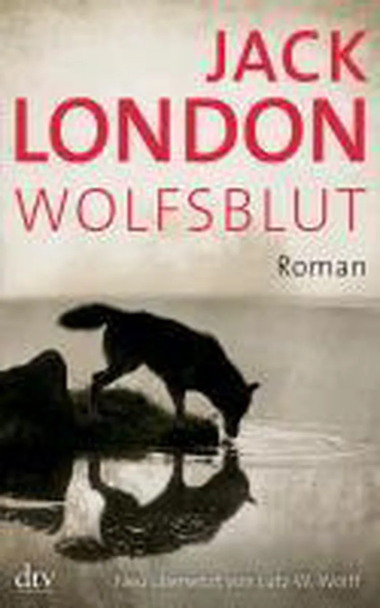 Wolfsblut de dtv – photo du livre