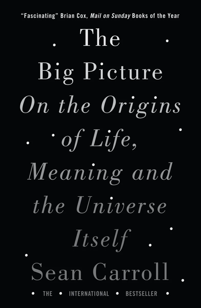 The Big Picture von Dutton – Buchfoto