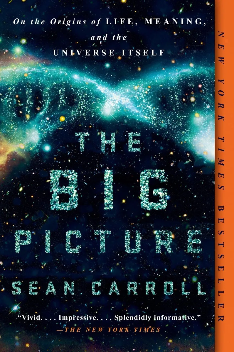 The Big Picture von Dutton – Buchfoto
