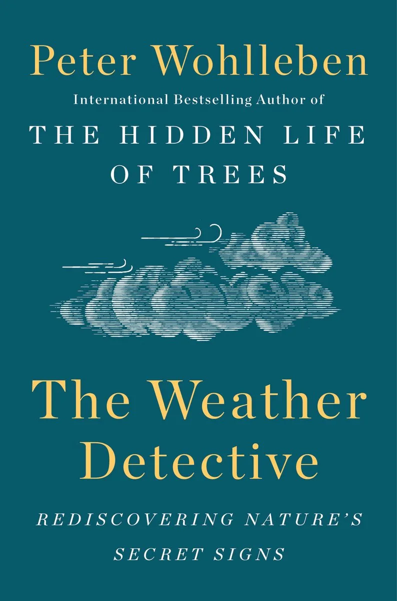 The Weather Detective von Dutton – Buchfoto