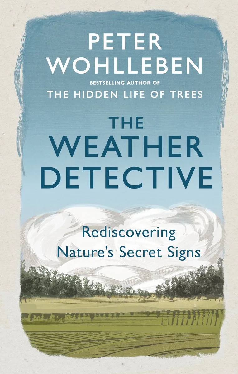 The Weather Detective von Dutton – Buchfoto