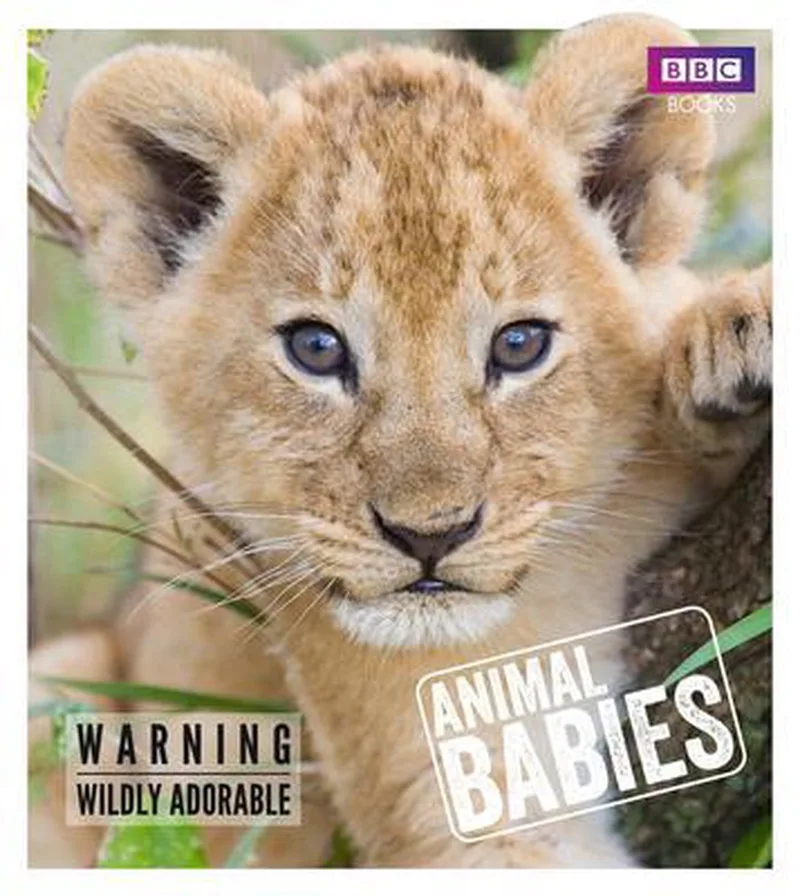 Animal Babies van Ebury Press – boekfoto