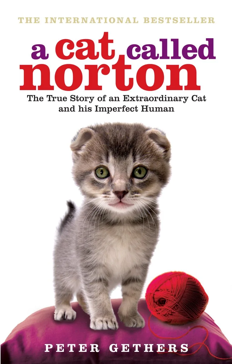 Cat Called Norton von Ebury Press – Buchfoto