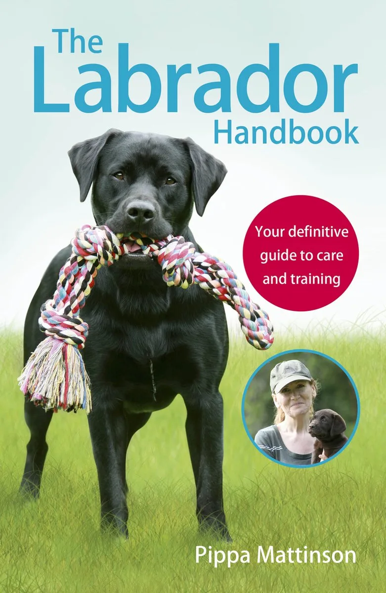 Labrador Handbook von Ebury Press – Buchfoto