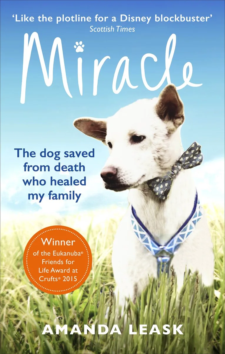 Miracle fra Ebury Press – billede af bogen