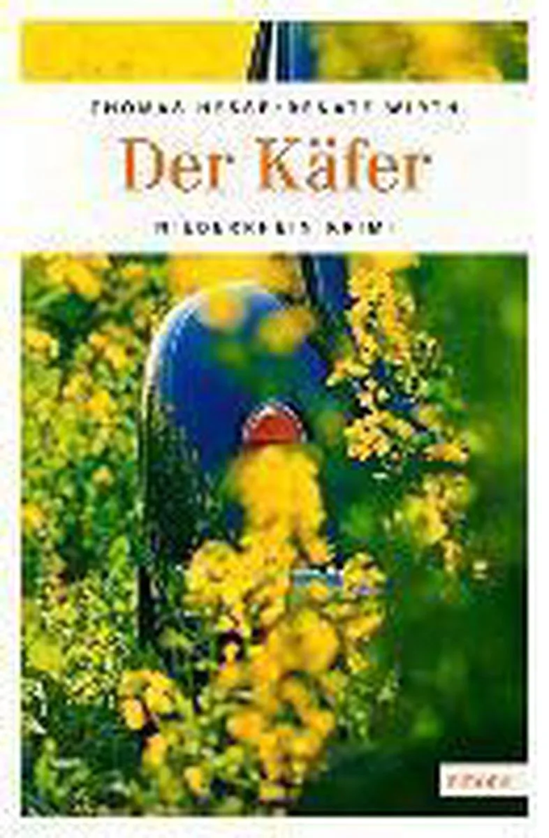 Der Käfer von Emons Verlag – Buchfoto