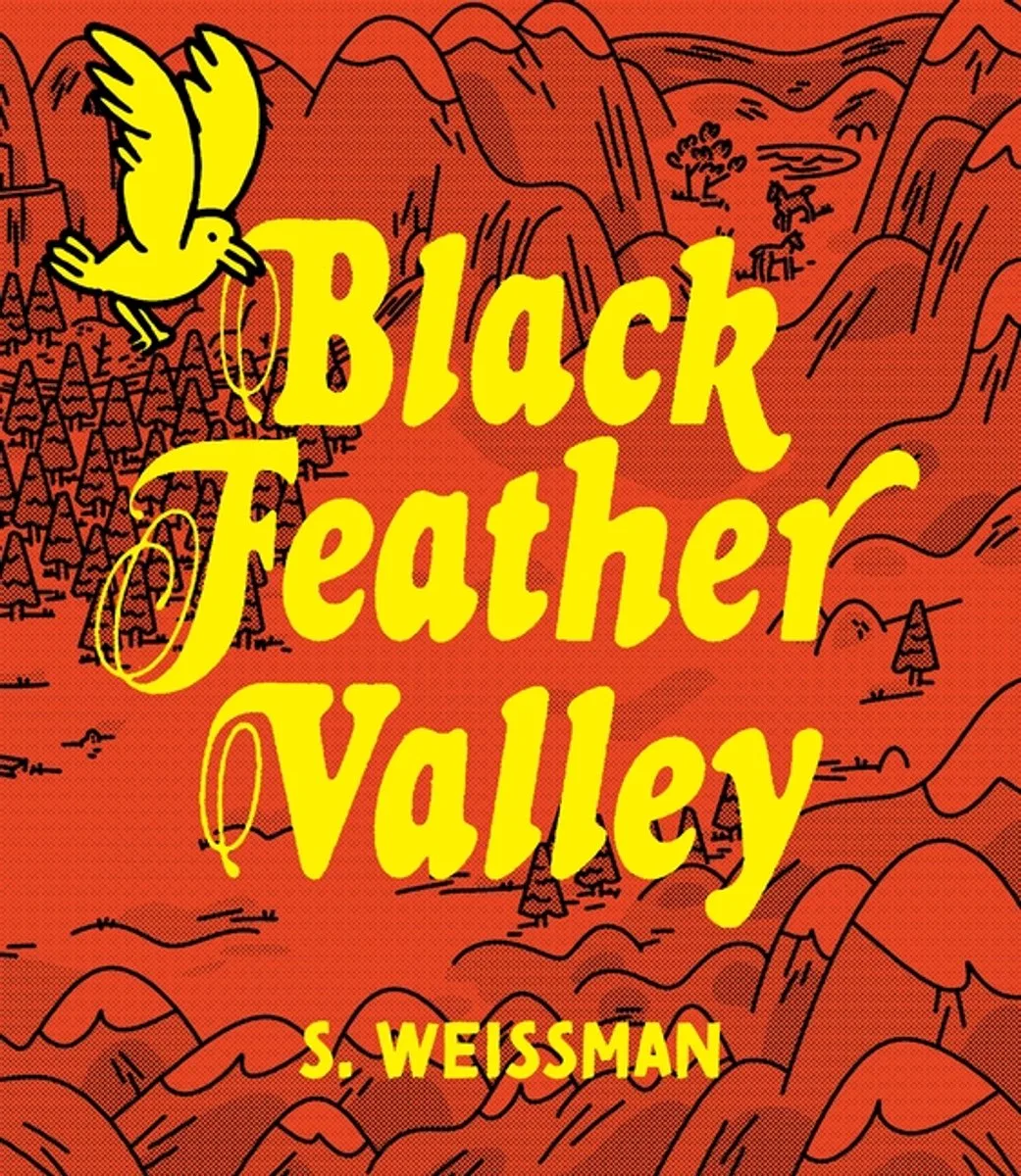 Black Feather Valley by Fantagraphics – book photo
