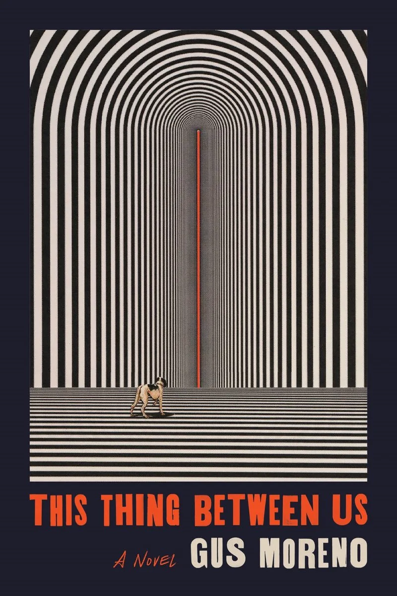 This Thing Between Us de Farrar, Straus and Giroux – photo du livre